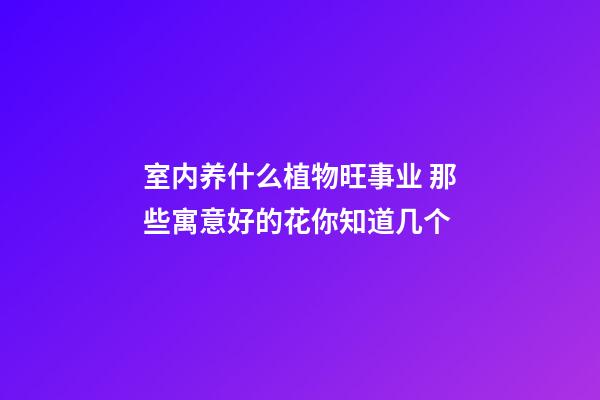 室内养什么植物旺事业 那些寓意好的花你知道几个
